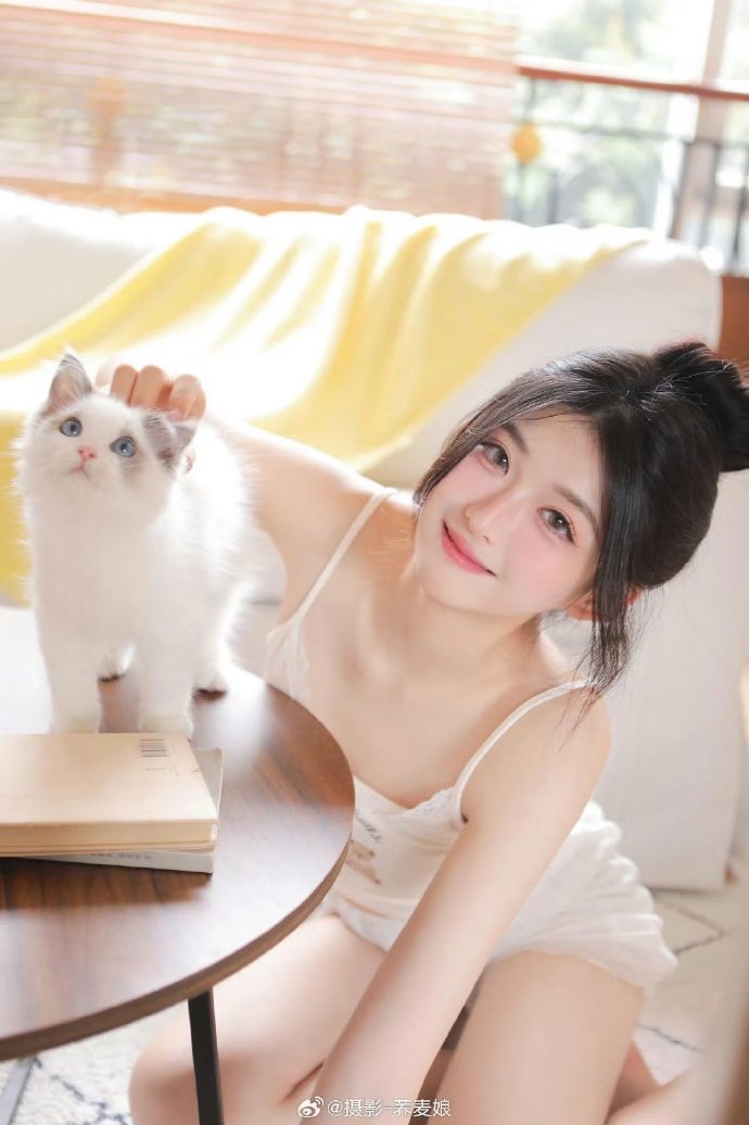 风之谷 封面