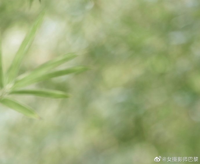 饥饿游戏